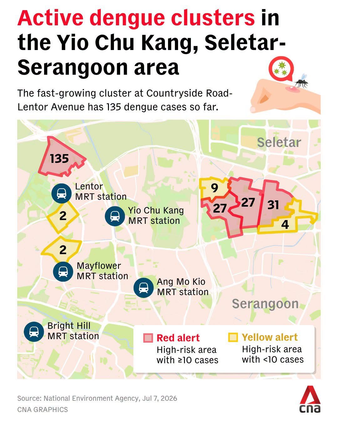 Mosquito/dengue infestation at the construction site
